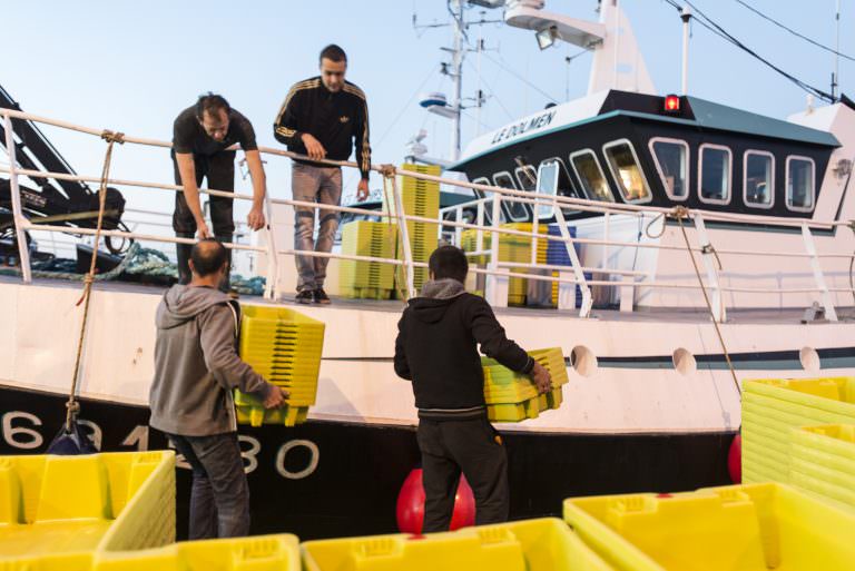 Débarquement de pêche au port de Keroman à Lorient (Morbihan)