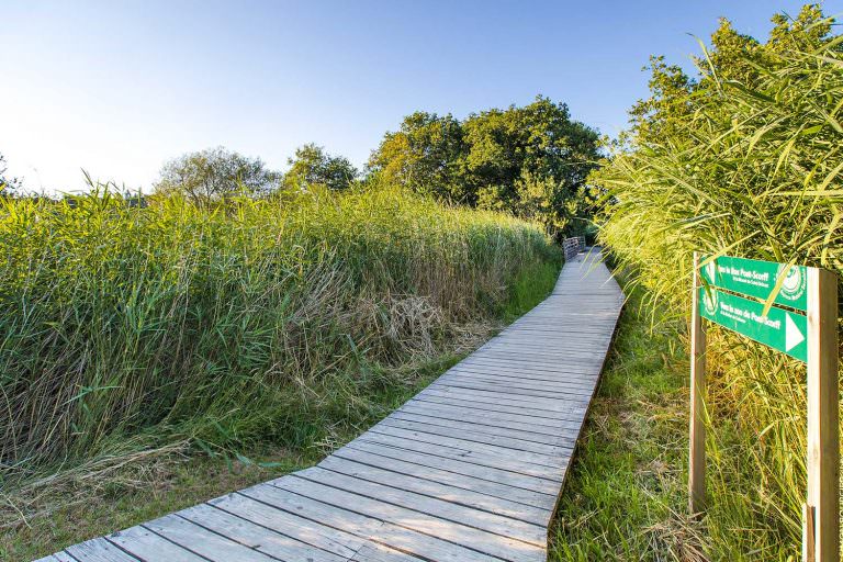 Chemin de randonnée pour balade à Pont-Scorff (Morbihan)