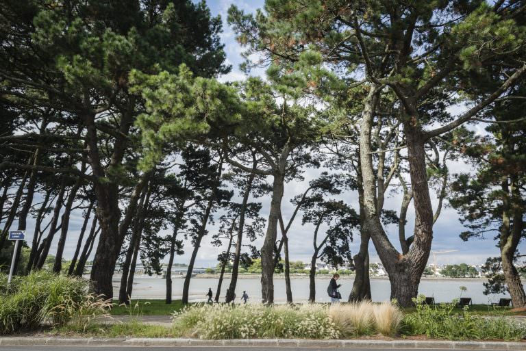 Les bords du Scorff à Lorient