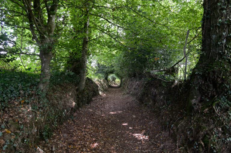 Chemin creux à Quistinic