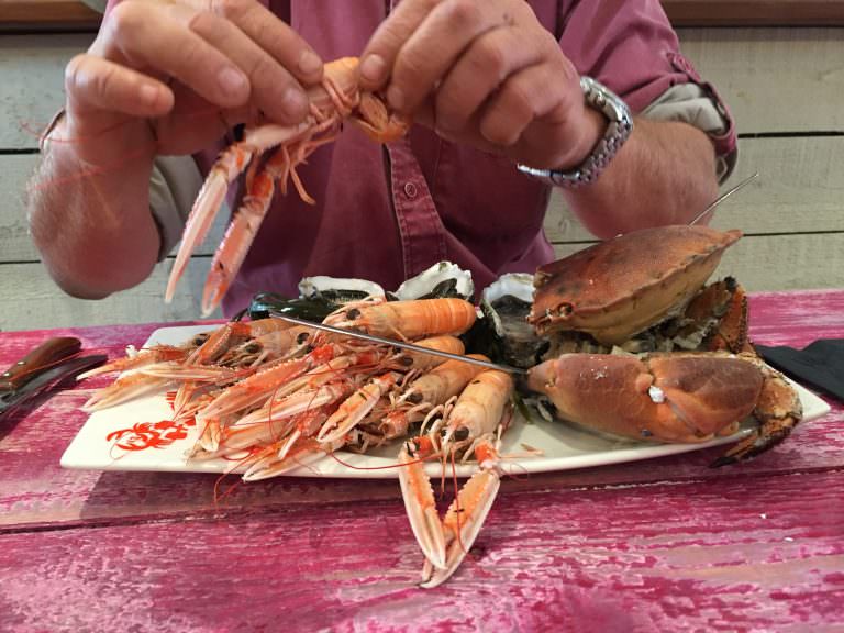 Port de pêche de Lorient, dégustation de langoustine et crabes