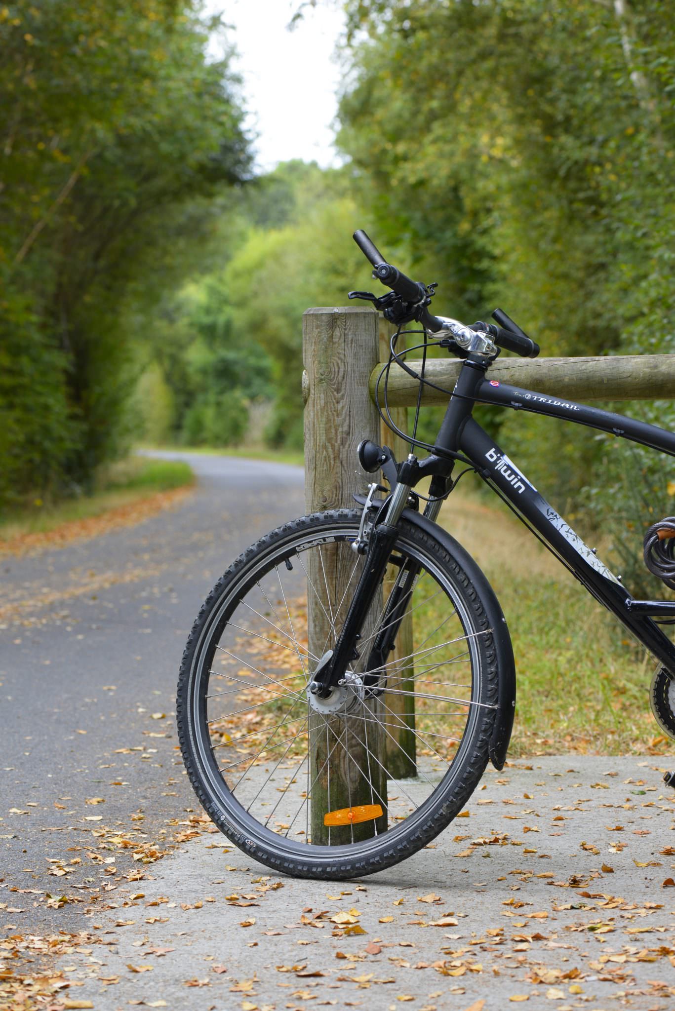 Un vélo le long du halage du Blavet à Hennebont.
