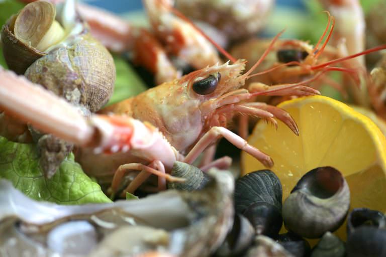 Un plateau de fruits de mer chez l'ostréiculteur à Saint Guillaume, Plouhinec.