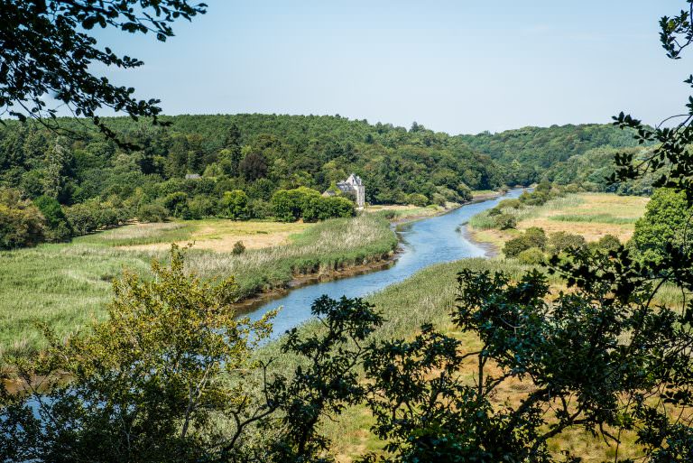 rivière et château en campagne