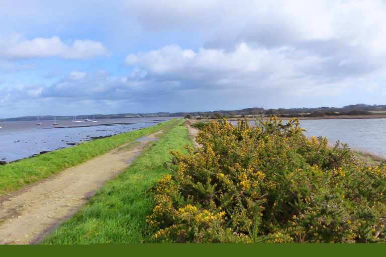 Locmiquélic, sur les chemins du marais de Pen Mané