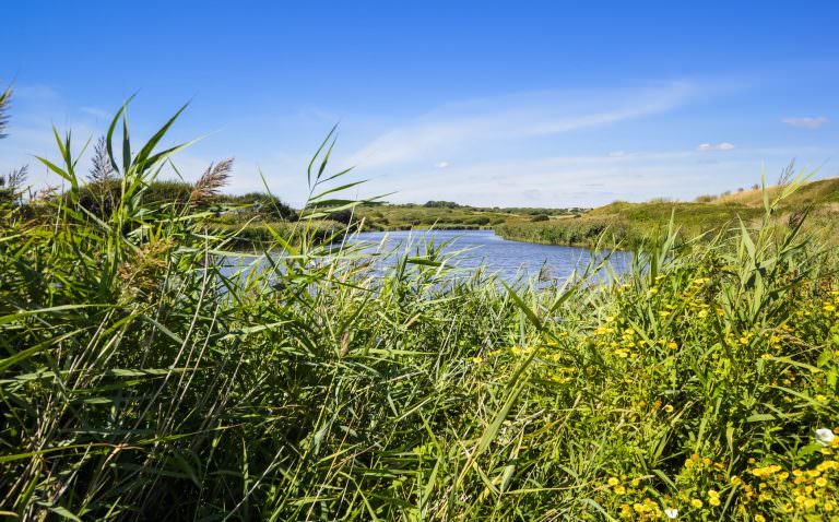 Guidel, l'étang du loch