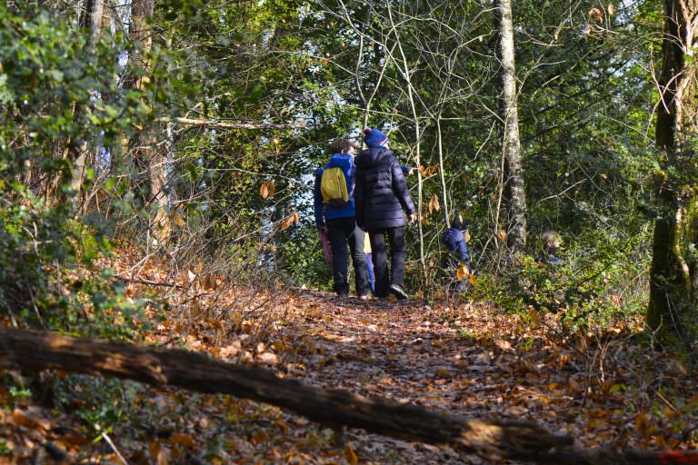 Chemin de randonnée au cimetière de bateau de Kerhevry à Lanester