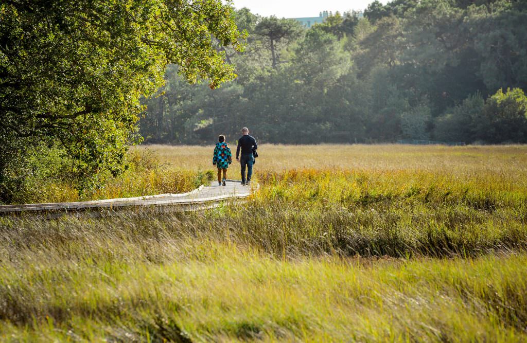 Famille sur chemin de randonnée au Marais de la Goden à Lanester (Morbihan) 