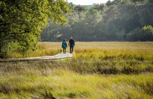 Famille sur chemin de randonnée au Marais de la Goden à Lanester (Morbihan)