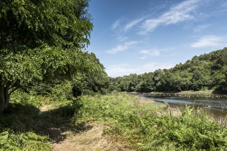 Chemin de randonnée le long du Scorff à Pont-Scorff