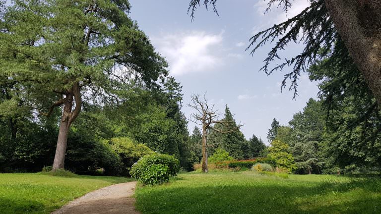 Chemin de randonnée dans le parc du Bunz à Inzinzac-Lochrist