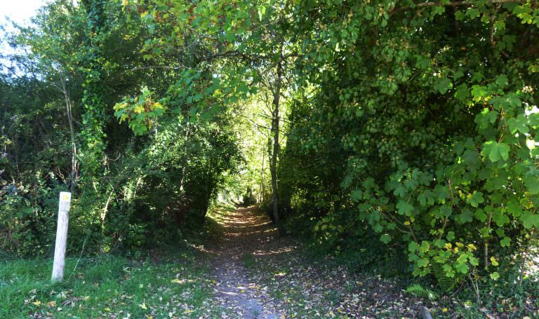 Chemin creux de randonnée Le Roze à Quéven