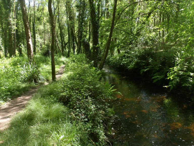 Chemin de randonnée le long de la rivière du Roc'h à Languidic