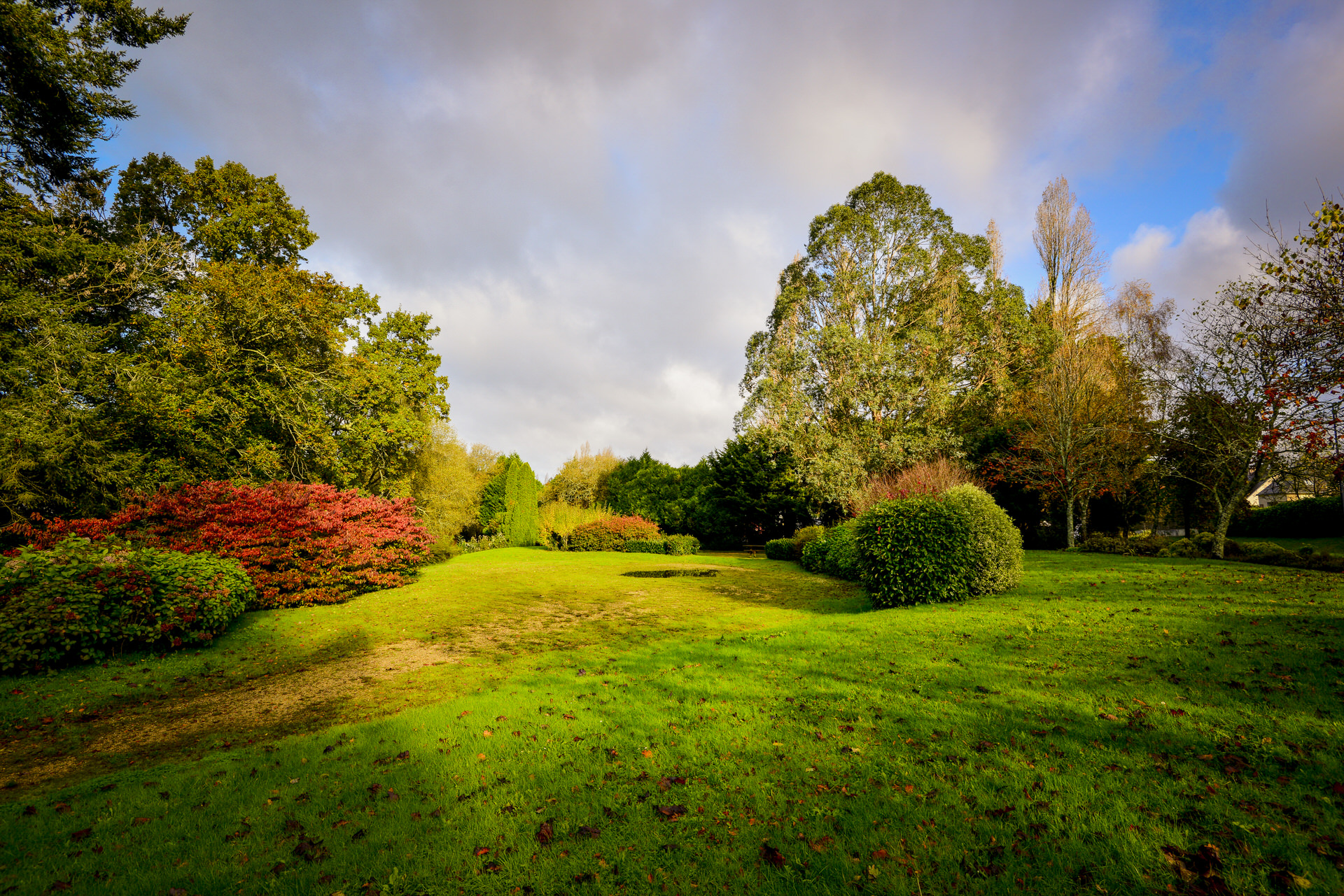 Arbres du parc à Caudan