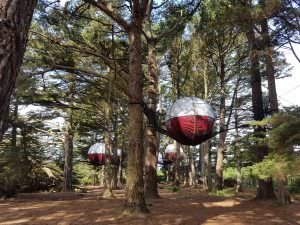 hébergement insolite, les nids dans les arbres au Parcabout sur l'île de Groix