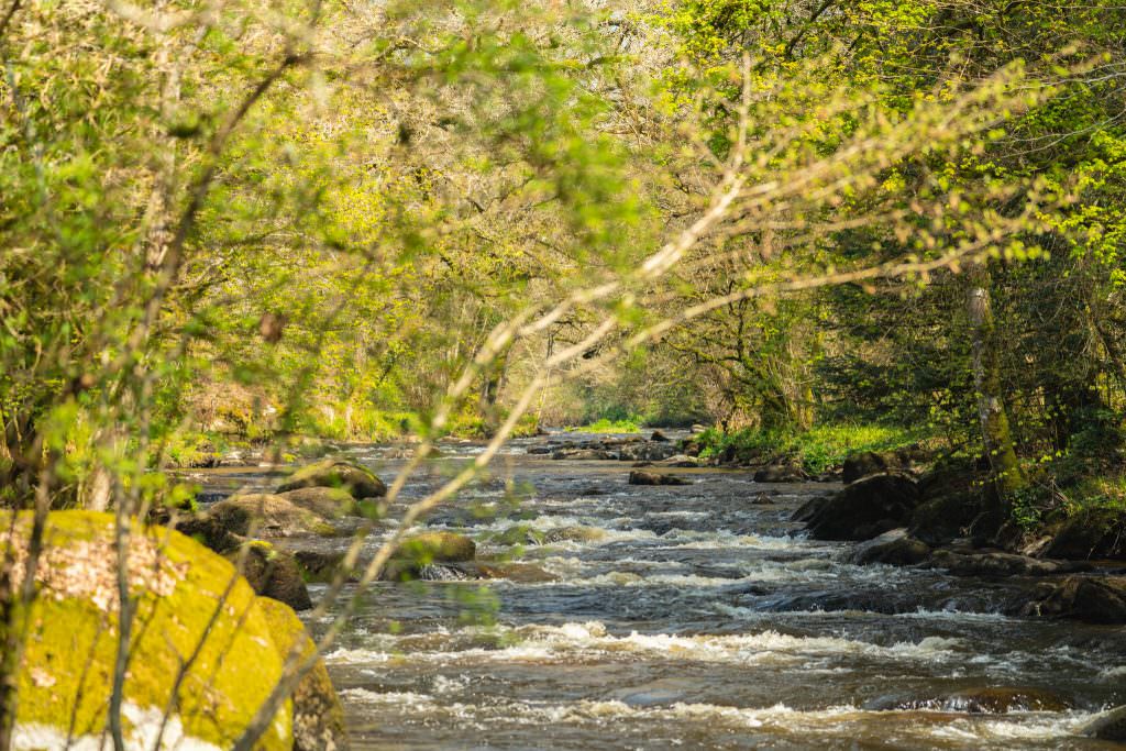 Rivière le Scorff dans la Forêt de Pont Calleck à Plouay