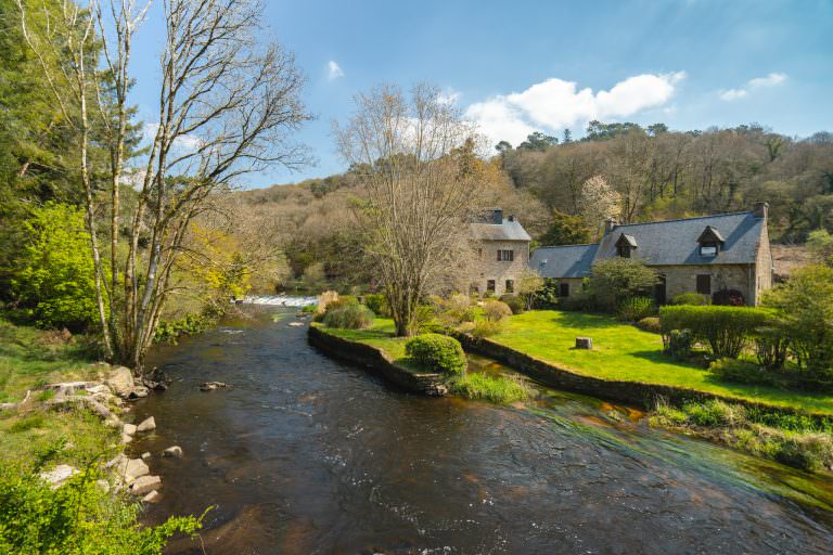 Les rives du Scorff et la Forêt de Pont Calleck à Plouay.