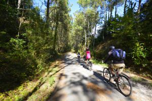 Balade en vélo sur la voie verte