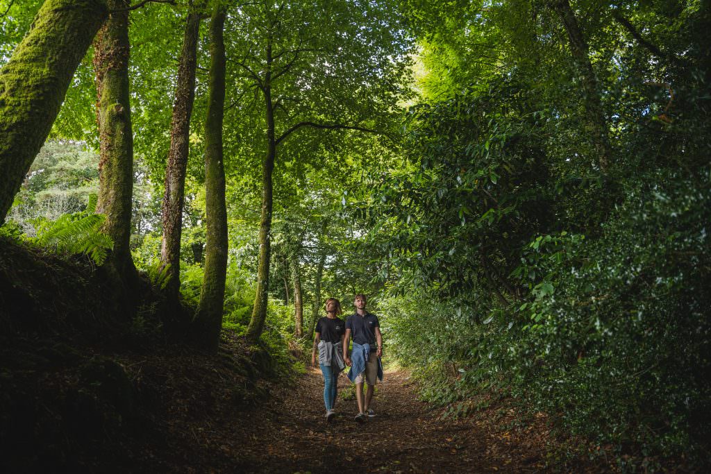 Couple en promenade dans une forêt de la vallée du Blavet (Morbihan) 