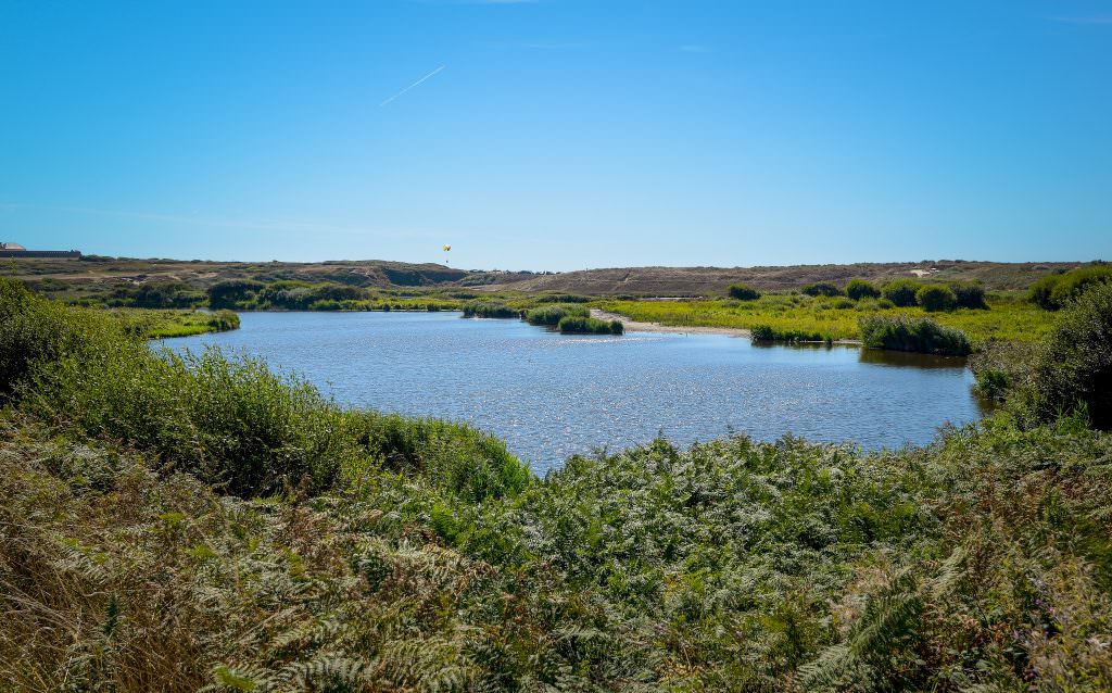 Réserve Naturelle Étangs du Loc'h à Guidel (Morbihan)