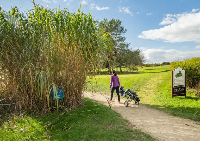 Golfeuse au Golf de Val Quéven (Morbihan)