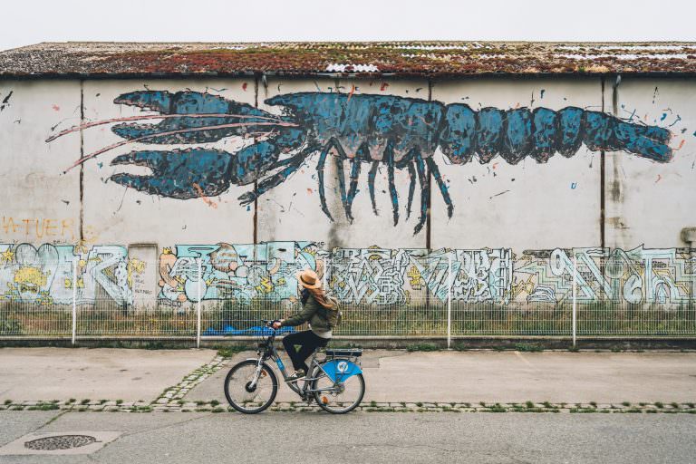 Balade à vélo au port de pêche de Lorient à la découverte du street-art (Morbihan)