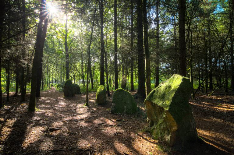 alignements menhirs grand resto kersolan languidic