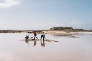 Pêcheurs à pied sur la plage du Fort-Bloqué, à Ploemeur (Morbihan)