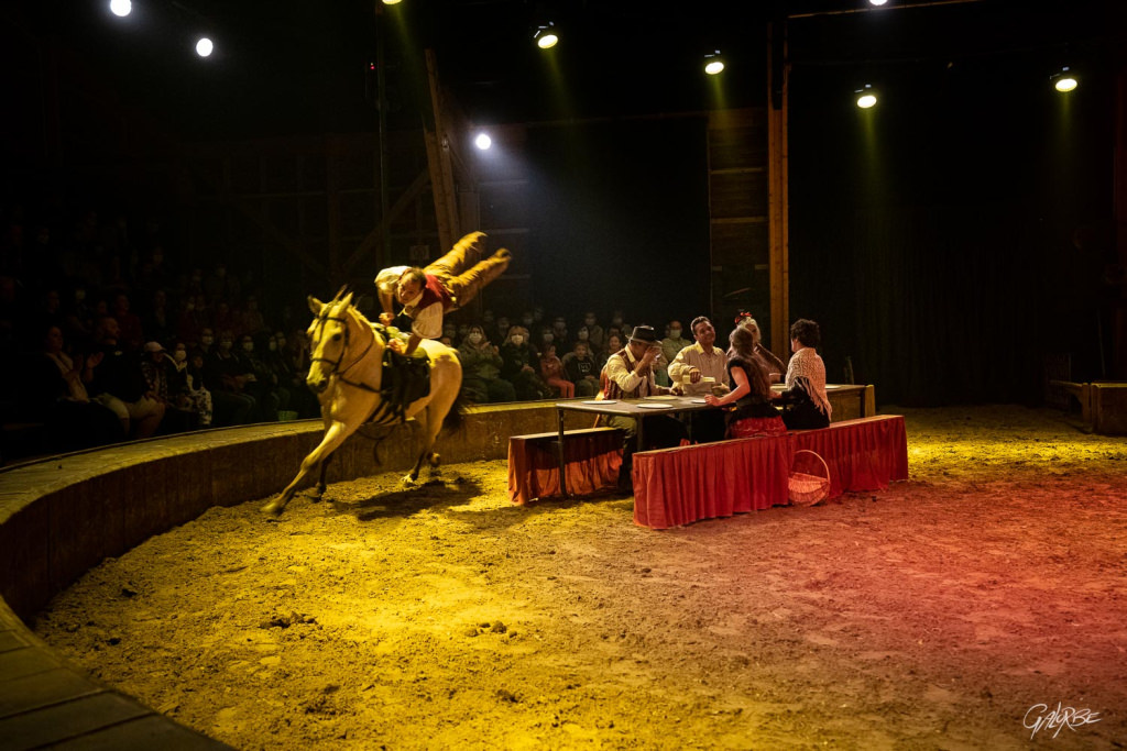 Grand Spectacle de Noël "Manoucherie Auvergnate" de la Compagnie Diego n'Co au Haras national d'Hennebont (Morbihan)