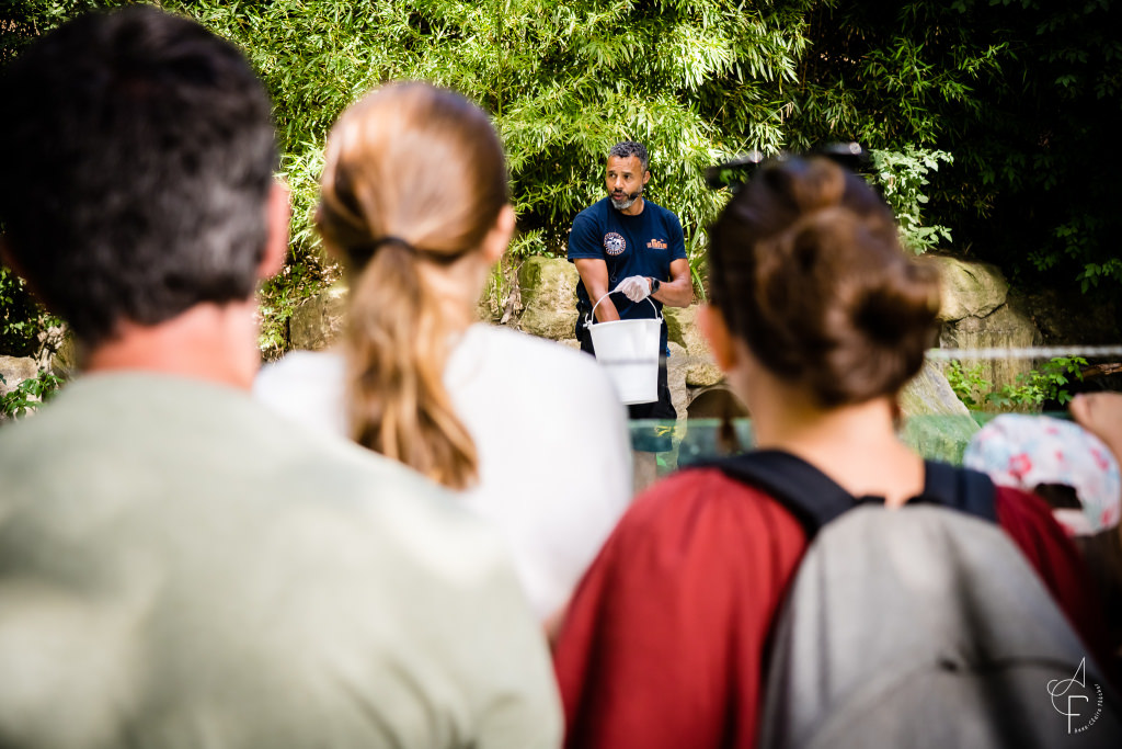 Activités avec les soigneurs du parc refuge animalier Les Terres de Nataé à Pont-Scorff (Morbihan)