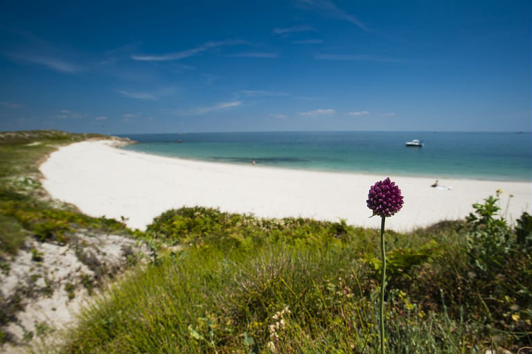 Plage de sable fin sur l'île d'Hoedic, dans le Morbihan (Bretagne Sud)