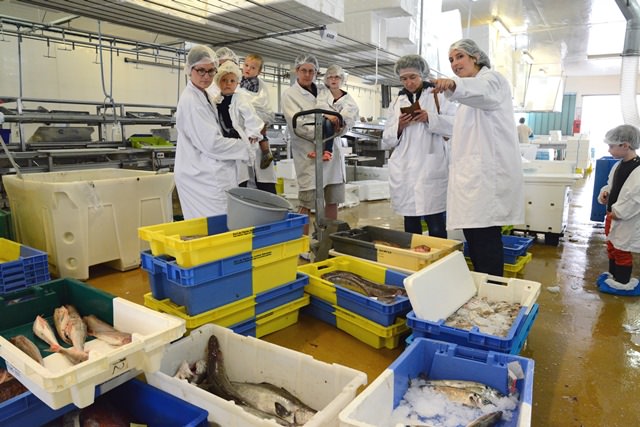 Visite guidée de la criée au port de pêche de Lorient Keroman (Morbihan)