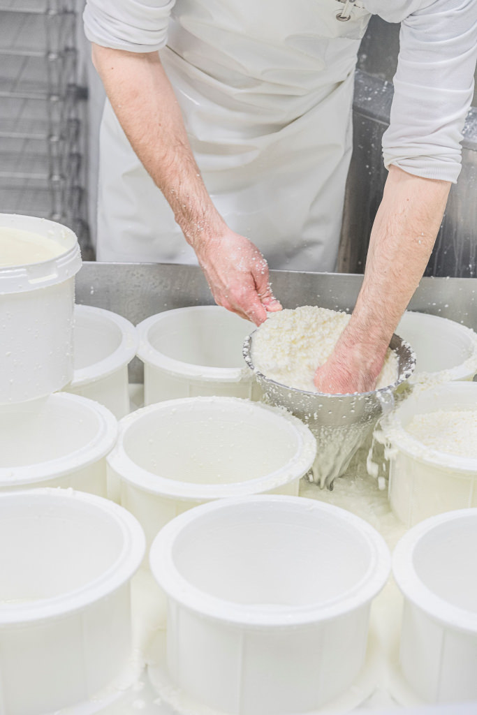 Fabrication de fromage à la Laiterie de Kerguillet à Plouay (Morbihan)