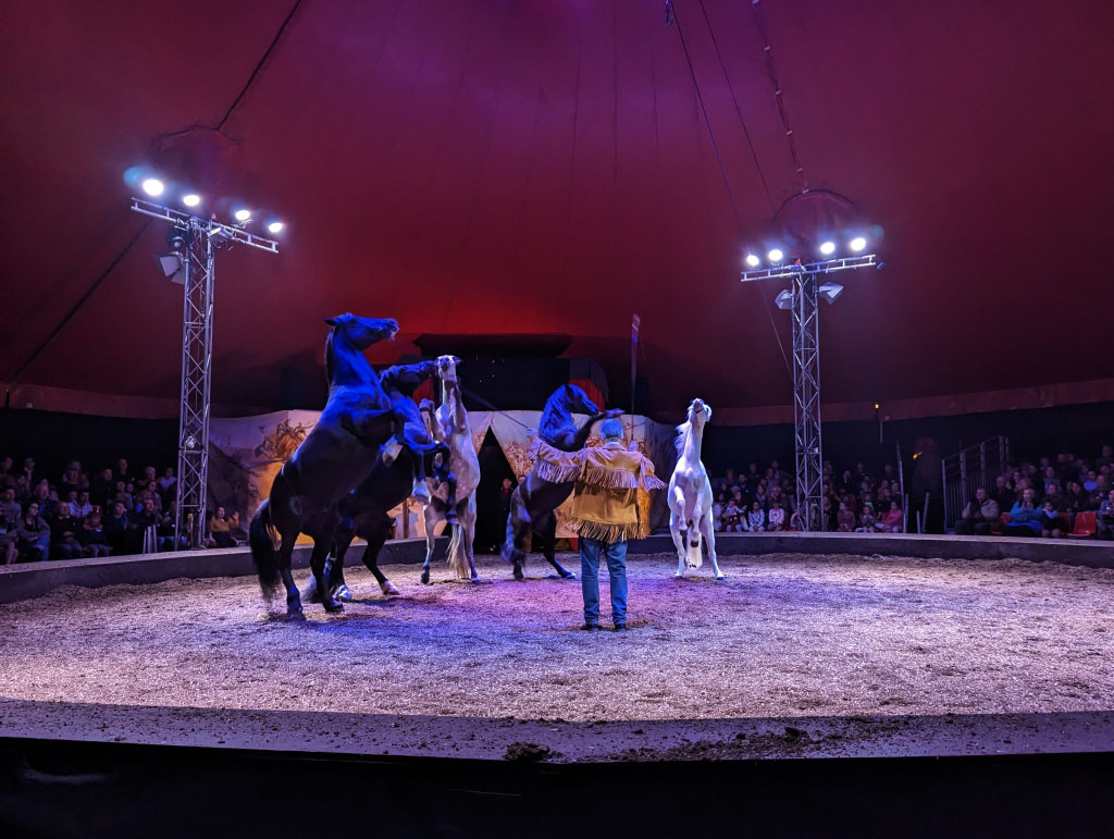 Spectacle équestre Once Upon a Time sous le chapiteau du Haras National d'Hennebont (Morbihan) 