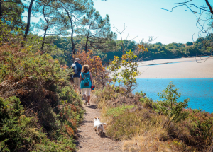 Balade avec son chien sur les rives de la Laïta du côté de Guidel (Morbihan)