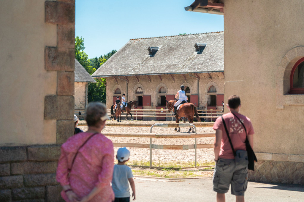 Chevaux dans la Carrière des Écuries au Haras national d'Hennebont (Morbihan)