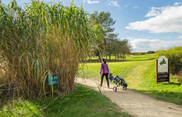 Golfeuse au Golf de Val Quéven (Morbihan)