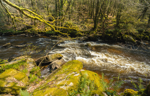 Rivière le Scorff dans la Forêt de Pont Calleck à Plouay