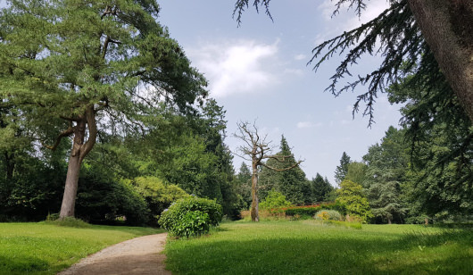 Chemin de randonnée dans le parc du Bunz à Inzinzac-Lochrist