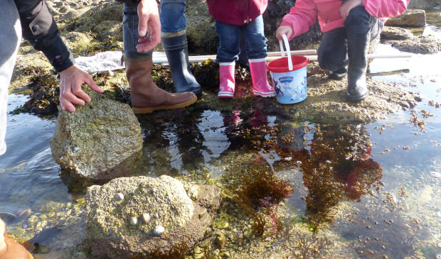 Enfants dans les flaques d'eau à la pêche à pied, Gâvres (Morbihan). ©C.Le Bail -LBST