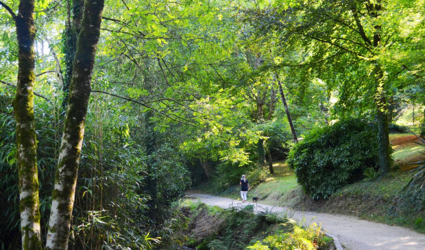 Hennebont, promenade au Parc de Kerbihan