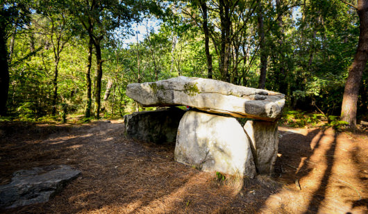 Dolmen de Kerporel de la forêt de Riantec (Morbihan)