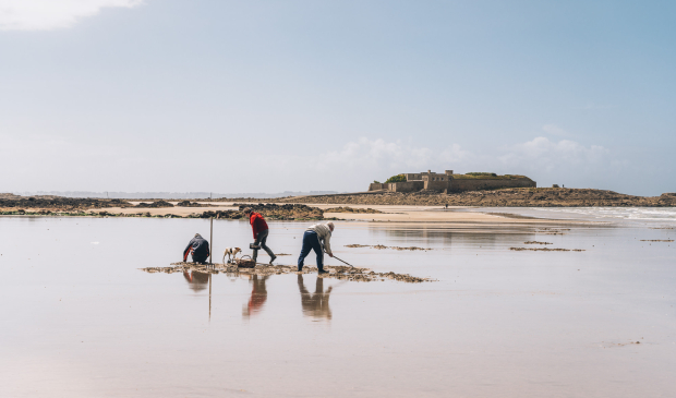 Pêcheurs à pied sur la plage du Fort-Bloqué, à Ploemeur (Morbihan)
