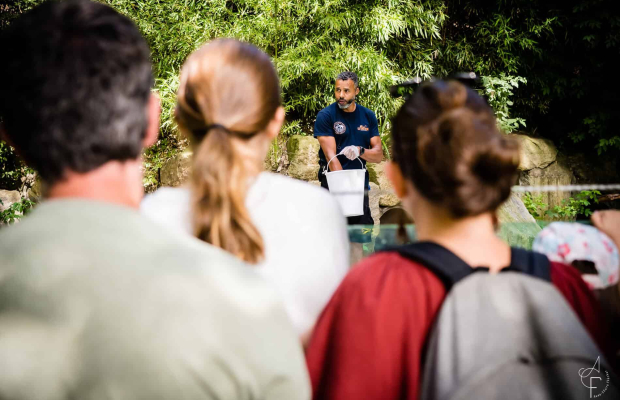 Activités avec les soigneurs du parc refuge animalier Les Terres de Nataé à Pont-Scorff (Morbihan)