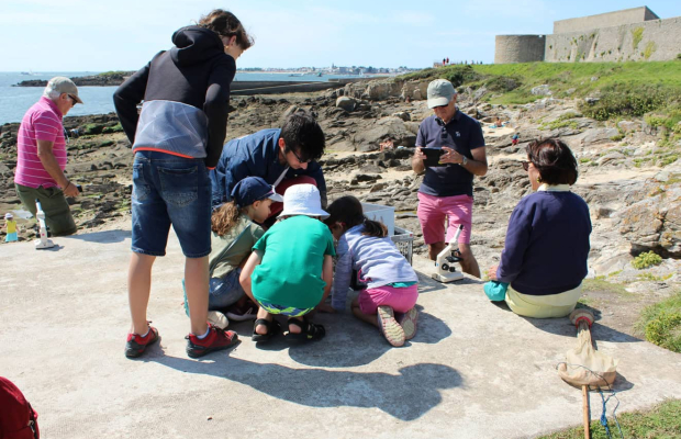 Animation nature sur l'estran avec l'Observatoire du Plancton à Port-Louis (Morbihan)