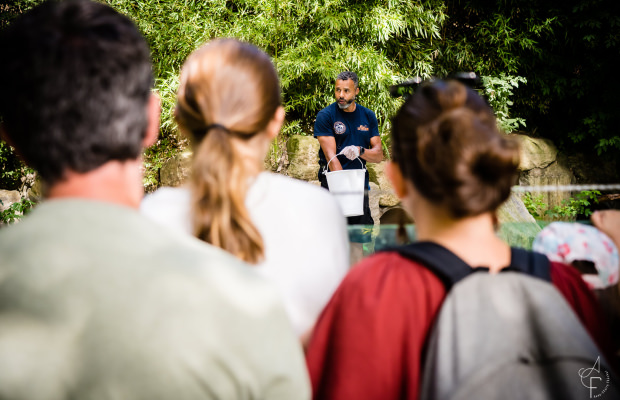 Animation avec les soigneurs au parc animalier Les Terres de Nataé, Pont-Scorff (Morbihan)