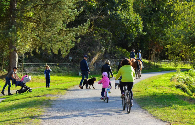Balade à pied ou à vélo et promenade avec son chien sur le Chemin de Halage du Blavet à Hennebont (Morbihan)