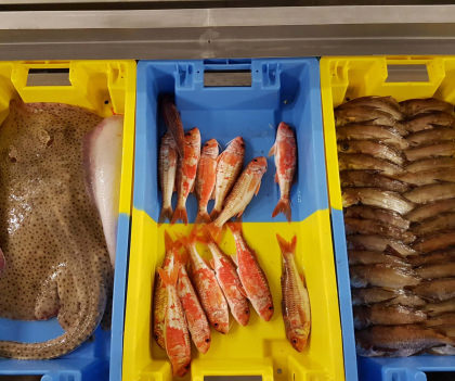 Caisses de poissons au port de pêche de Lorient