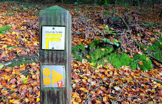 © C. LE BAIL. Forêt de Trémelin. rando Ty Mat. Inzinzac-Lochrist