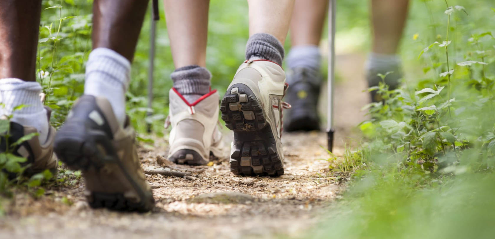 Gros plan sur les chaussures d'un groupe de randonneurs en marche.